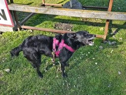 whatsapp image 2026-03-19 at 18.09.39 2